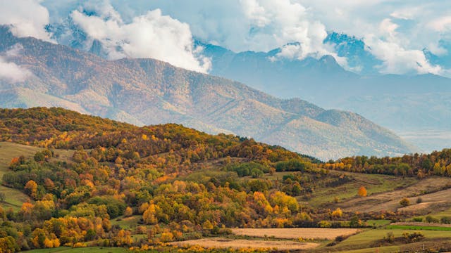 1762701925_6910b26552133_pexels-septimiu-lupea-271955805-34557158