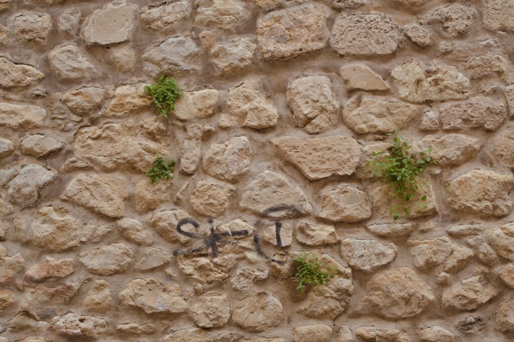 Photo spirite adevărate