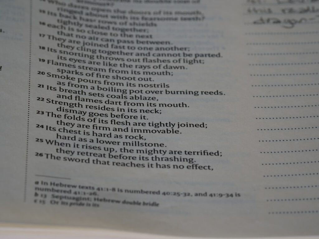 Photo hidden meaning