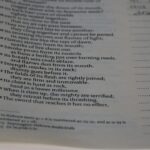 Descoperirea sensului ascuns în viață – Omul nu poate trăi fără sens. El are nevoie de un scop, o direcție, un motiv pentru a merge mai departe. – Viktor Frankl
