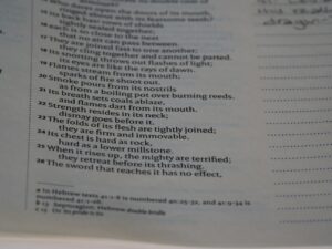 Photo hidden meaning