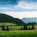 Umbrele din noi: Fiecare om are umbrelele lui, dar nu le cunoaște pe toate. – Paulo Coelho