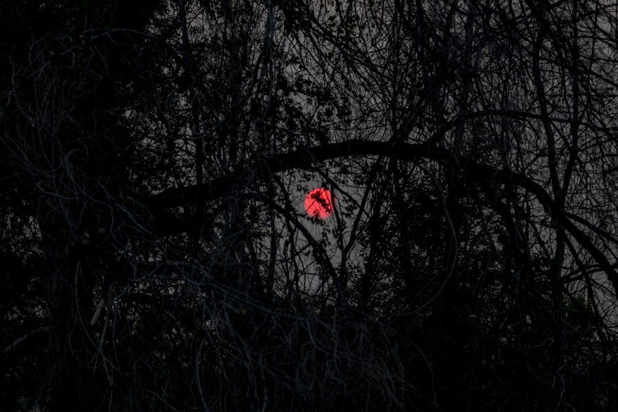 Photo symbols