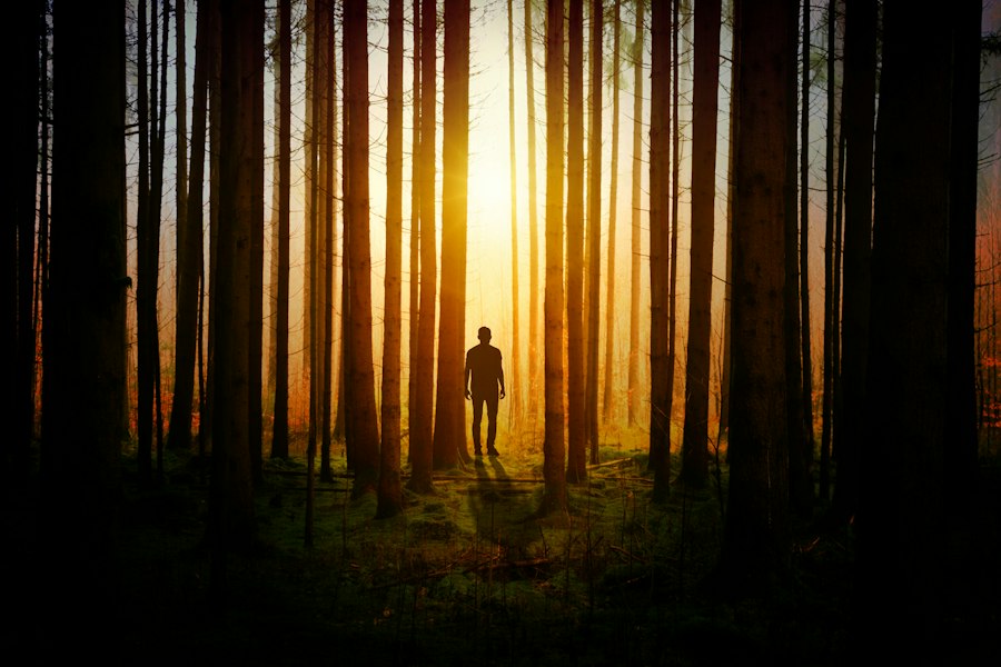 Photo mysteries