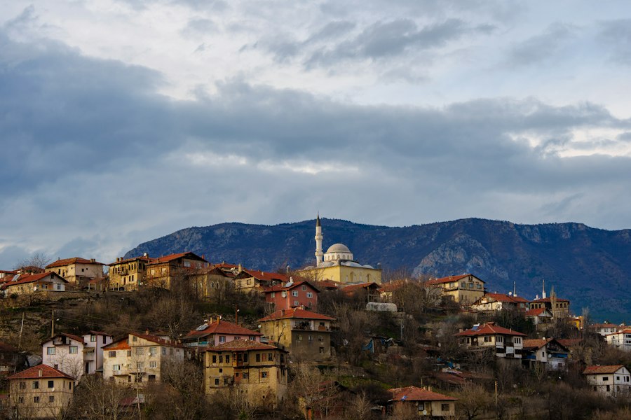 muzicii lăutărești românești