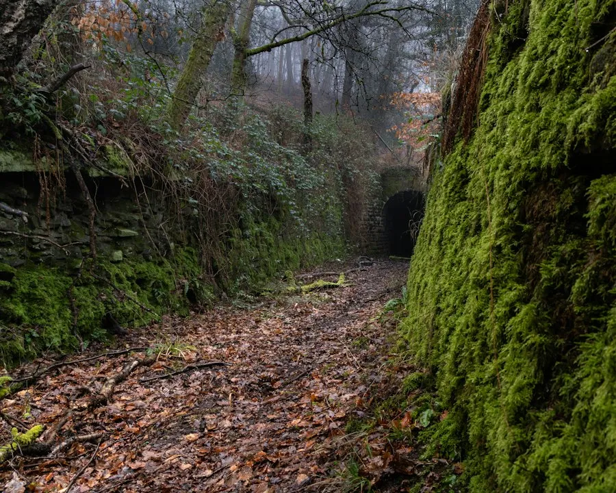 Photo mysterious places common mistakes