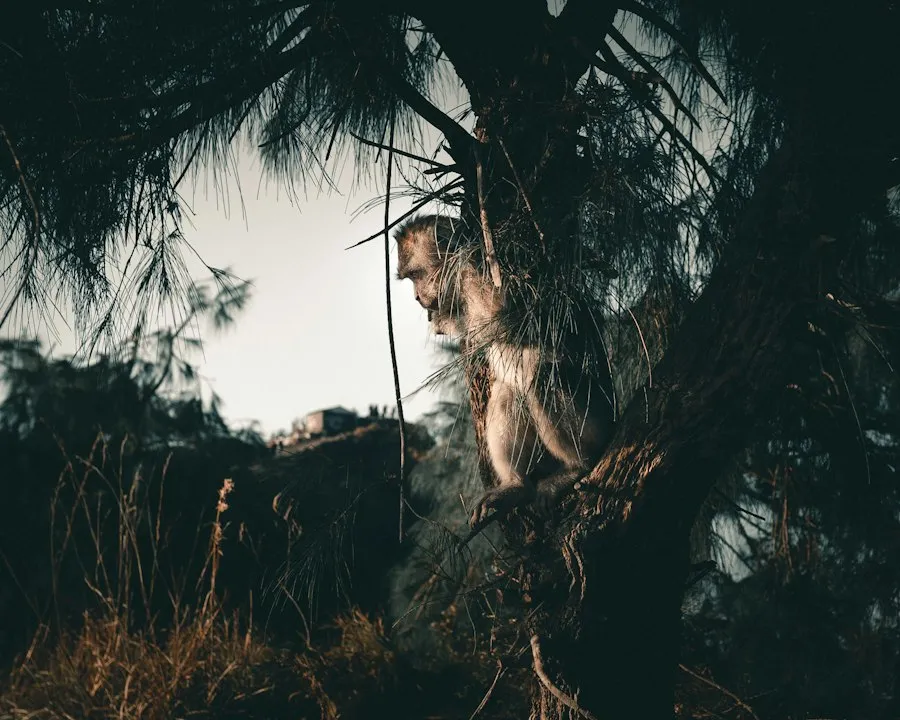 Photo common folklore creature mistakes